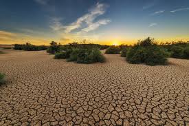World Day to Combat Desertification and Drought