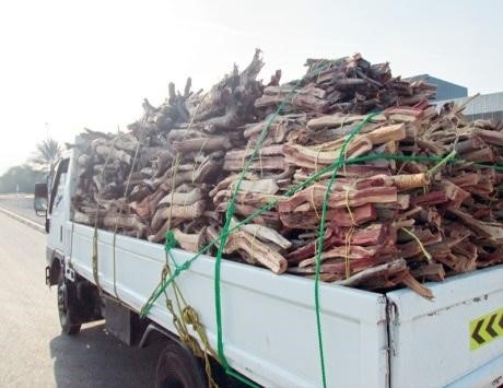 Read more about the article حملات لحماية أشجار الغاف والسمر والسدر والغطاء النباتي برأس الخيمة