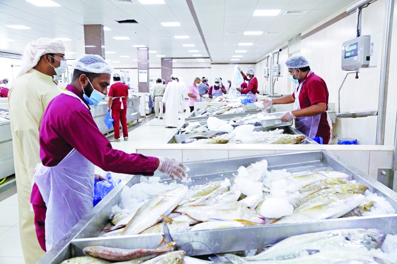 Read more about the article عودة «الشعري» و«الصافي» تقود تراجع أسعار الأسماك في رأس الخيمة
