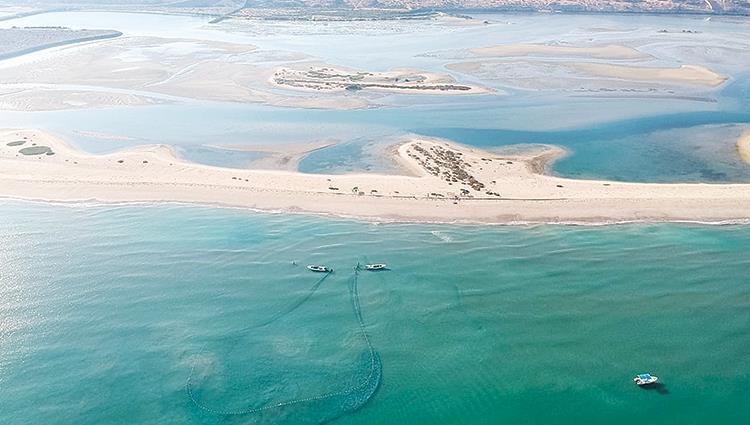 Read more about the article الرقابة البحرية في هيئة حماية البيئة