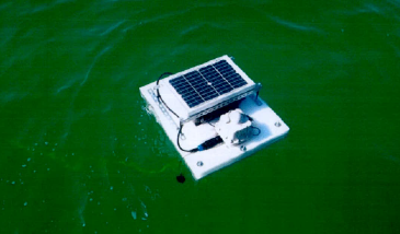 Read more about the article «بيئة رأس الخيمة» تدعو الصياديـن لعدم الاقتـراب من الحســاســات العائمـة