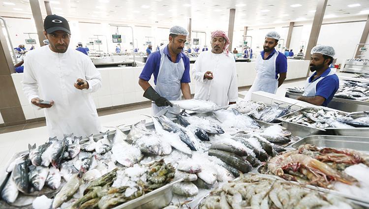 Read more about the article الأسواق خالية من القرش والشعري والصافي