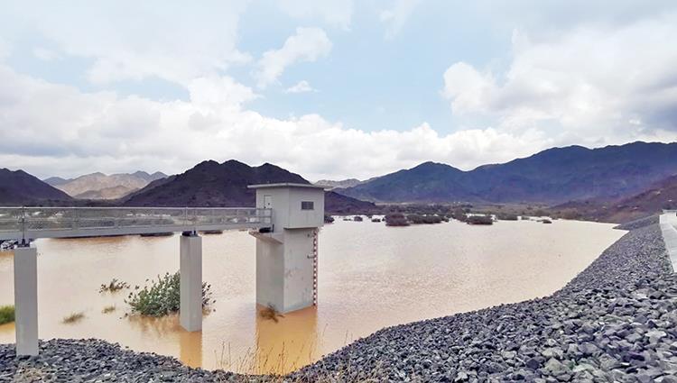 Read more about the article الأمطار تحافظ على التنوع البيولوجي وتعيد التوازن البيئي