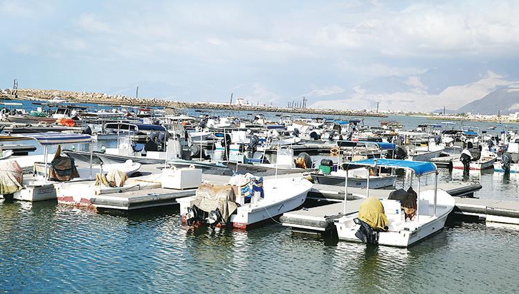 Read more about the article استخدام مخلفات الإبل والأشجار في تشغيل مصانع الإسمنت للمرة الأولى محلياً