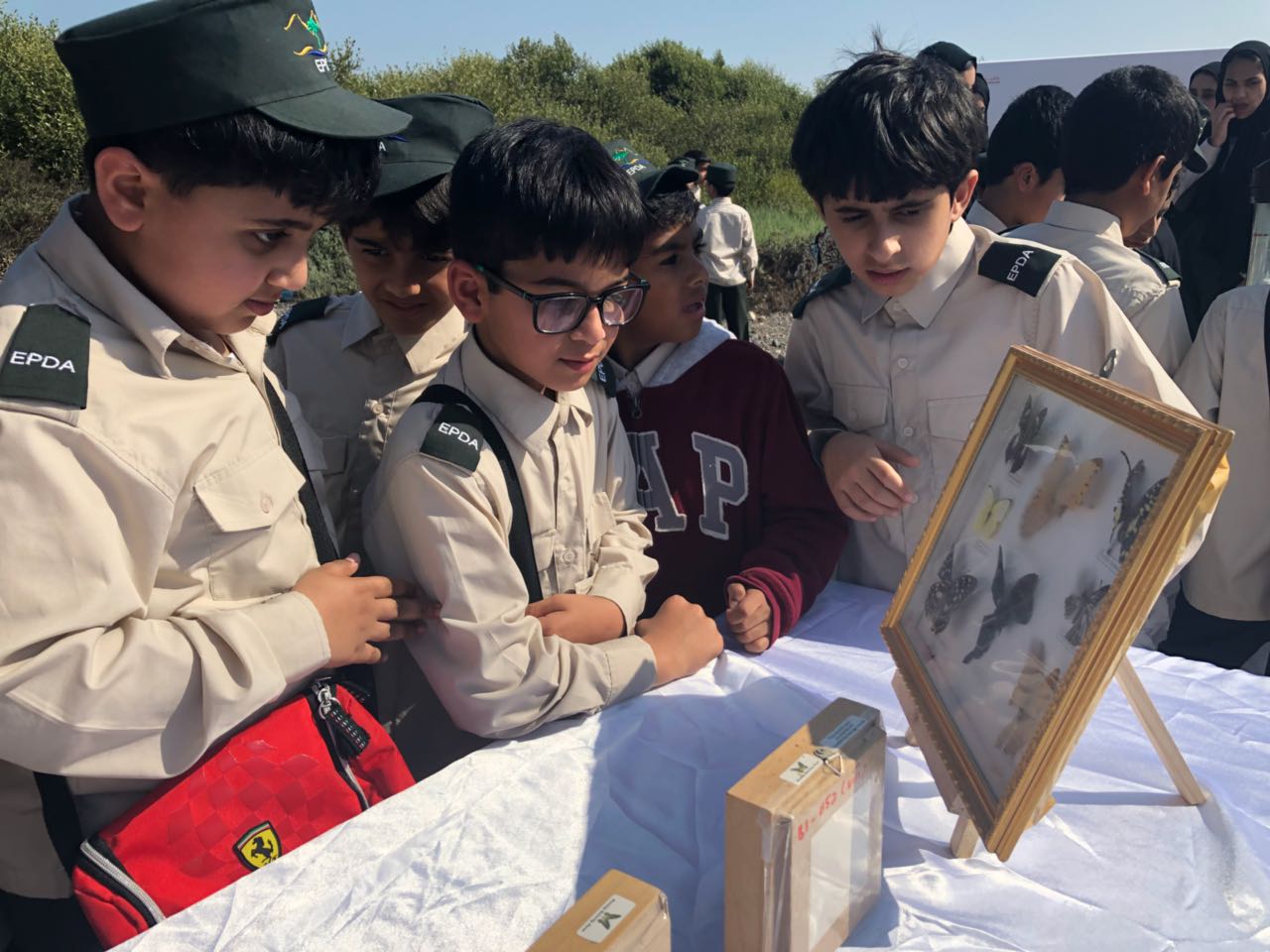 Read more about the article إطلاق الدورة الثانية لـ«حماة البيئة» في رأس الخيمة