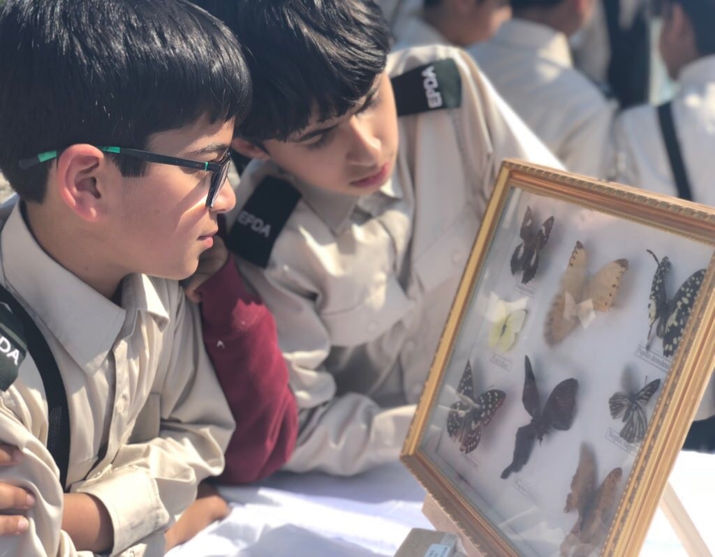 Read more about the article ورشة الباحث البيئي